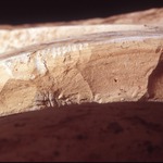 Plate 48: Fresh sherd break of AOI WH (width of field 24 mm). Click to see a larger version