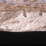 Plate 108a: Fresh sherd break of COL WH (width of field 24 mm). Click to see a larger version