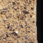 Plate 118: Trituration grits on NFO WH 2 (width of field 24 mm). Click to see a larger version