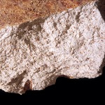Plate 131a: Fresh sherd break of LTC WH (width of field 24 mm). Click to see a larger version