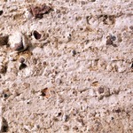 Plate 157d: Trituration grits on MAH WH (mixed trituration grits) (width of field 24 mm). Click to see a larger version