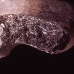 Plate 177: Fresh sherd break of ROB SH (width of field 24 mm). Click to see a larger version