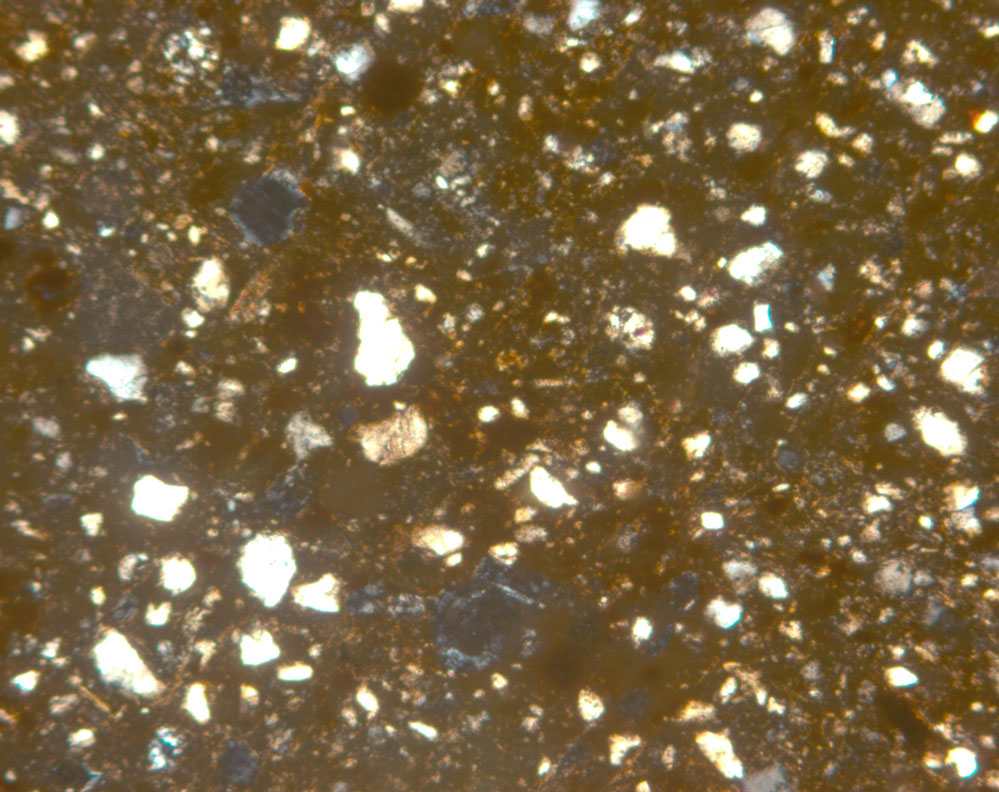 Plate 143.1: Photomicrograph of COR WH (XPL) (width of field 1.74 mm)