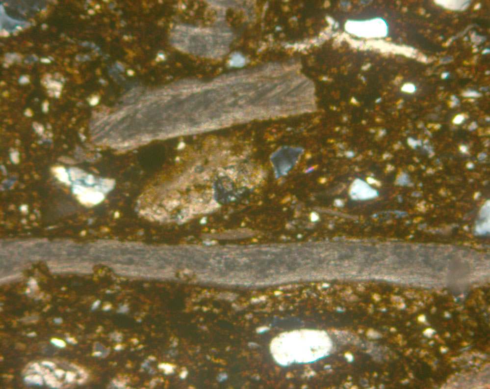Plate 128.1: Photomicrograph of DAL SH (XPL) (width of field 1.74 mm)