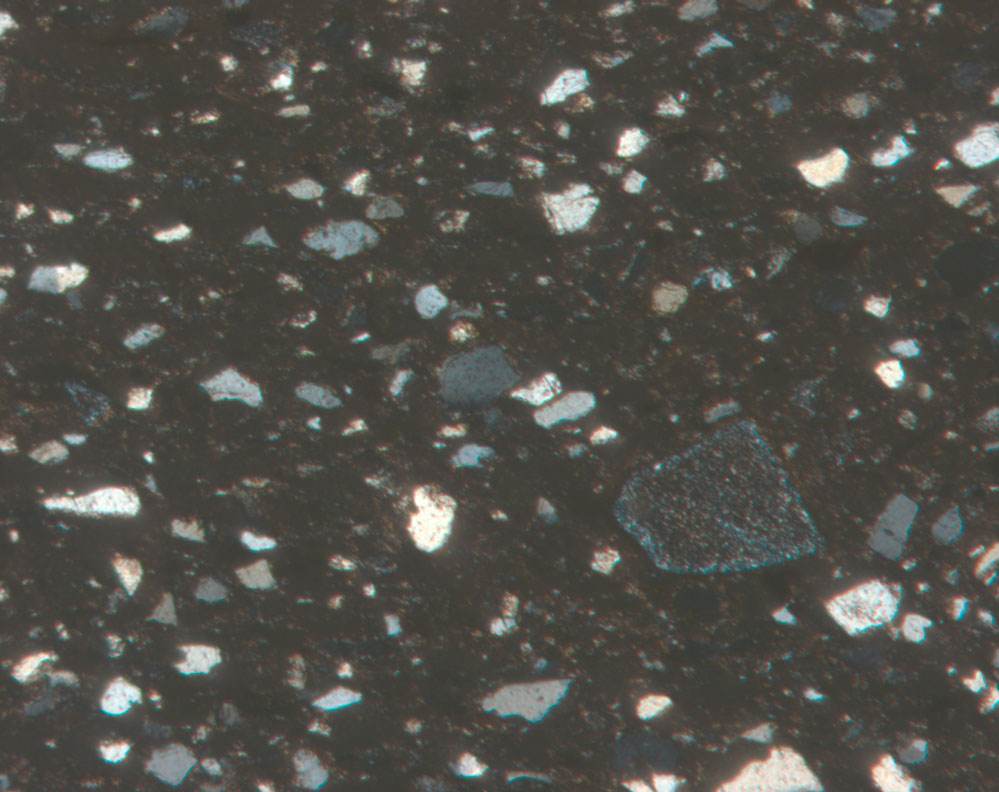 Plate 32.1: Photomicrograph of IMP PR 6 (XPL) (width of field 1.74 mm)