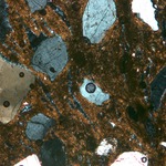 Plate 119.1: Photomicrograph of OVW WH (XPL) (width of field 1.74 mm). Click to see a larger version