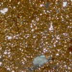 Plate 171.1: Photomicrograph of CAR OX (XPL) (width of field 1.74 mm). Click to see a larger version