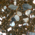 Plate 114.1: Photomicrograph of HAM WH (XPL) (width of field 1.74 mm). Click to see a larger version