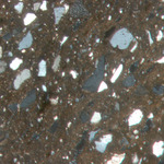 Plate 56.1: Photomicrograph of NOG WH 5 (XPL) (width of field 1.74 mm). Click to see a larger version