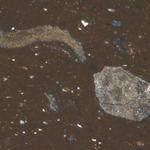 Plate 79.2: Photomicrograph of P&W AM 7 (XPL) (width of field 1.74 mm). Click to see a larger version