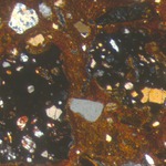 Plate 162.2: Photomicrograph of trituration grits on CAN WS (XPL) (width of field 3.5 mm). Click to see a larger version