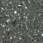 Plate 12.1: Photomicrograph of NOG WH 1 (XPL) (width of field 1.74 mm). Click to see a larger version