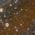 Plate 43.1: Photomicrograph of MOS BS (XPL) (width of field 1.74 mm). Click to see a larger version