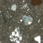 Plate 157.1: Photomicrograph of MAH WH (XPL) (width of field 1.74 mm). Click to see a larger version