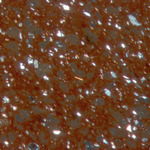 Plate 25.1: Photomicrograph of HGB SA (XPL) (width of field 1.74 mm). Click to see a larger version