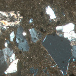 Plate 98.1: Photomicrograph of DER CO (XPL) (width of field 1.74 mm). Click to see a larger version