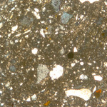 Plate 165.2: Photomicrograph of CRA WH (XPL) (width of field 1.74 mm). Click to see a larger version