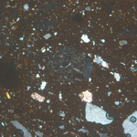 Plate 72.2: Photomicrograph of ITA AM 1 (XPL) (width of field 1.74 mm). Click to see a larger version