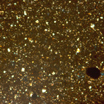 Plate 101.1: Photomicrograph of SHM RS (XPL) (width of field 1.74 mm). Click to see a larger version