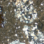 Plate 161.2: Photomicrograph of trituration grits on ALD WH (XPL) (width of field 3.5 mm). Click to see a larger version