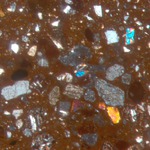 Plate 65.1: Photomicrograph of CAM AM 1 (XPL) (width of field 1.74 mm). Click to see a larger version