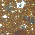 Plate 163.1: Photomicrograph of CTR WS (XPL) (width of field 1.74 mm). Click to see a larger version