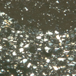 Plate 153.1: Photomicrograph of WAT RE (XPL) (width of field 1.74 mm). Click to see a larger version