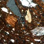 Plate 99.1: Photomicrograph of SOD RE (XPL) (width of field 1.74 mm). Click to see a larger version